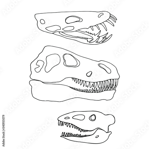 Sketch, vector black and white drawing of a dinosaur skeleton, children's coloring.