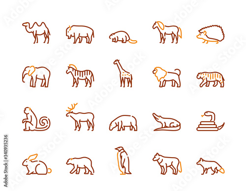 Wild animals symbols color linear vector icon set