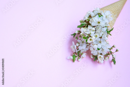 Ice cream cone with white flowers on a pink background. Spring concept. Floral background. Flat lay. Space for text © Юлия Буракова