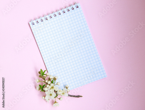 Blank sheet of notepad with white flowers on a pink background, space for text. Spring concept. Floral, spring background. Template, frame. Easter