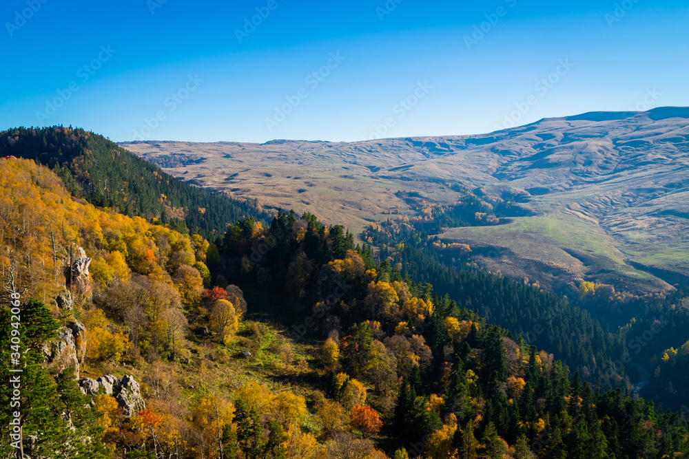 Scenic landscape with trees in mountain forest in autumn