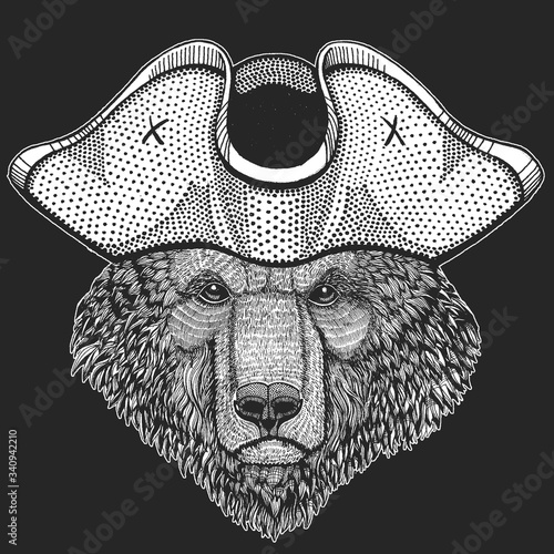 Wild bear. Pirate cocked hat. Portrait of animal for emblem, logo, tee shirt.