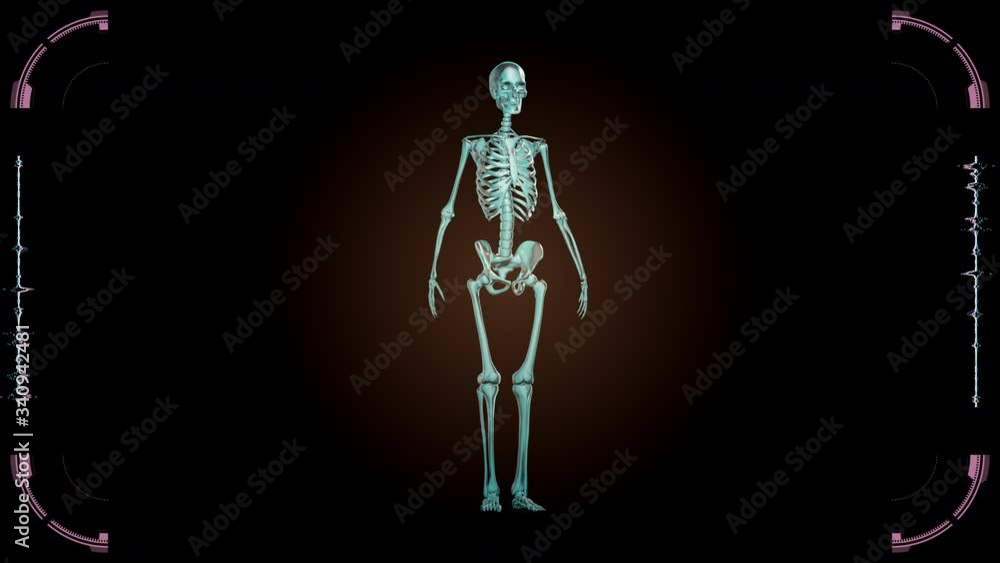 Futuristic medical lab turntable loop, Scan of human skeleton on Holographic screen virtual hud elements, Futuristic User Interface Futuristic medical lab turntable loop, Scan of human skeleton on Holographic screen virtual hud elements, Futuristic User Interface