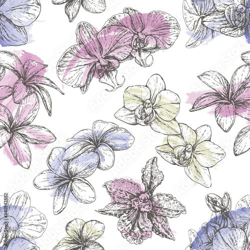 Hand drawn style seamless pattern with phalaenopsis orchid and plumeria flowers. Black and white vector illustration isolated on white