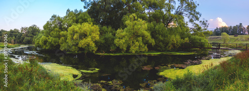 River in the forest