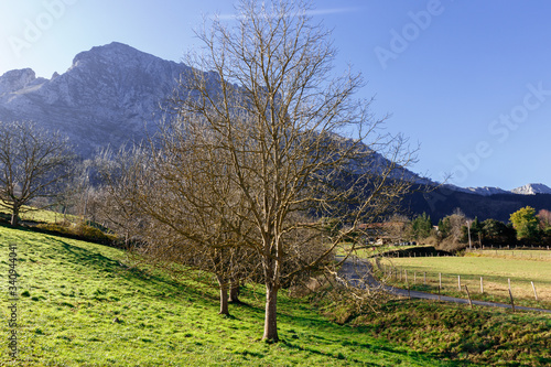 panoramic landscape in the mountains