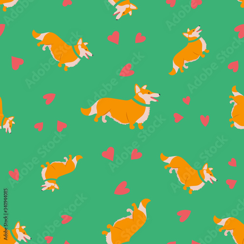 Seamless pattern with funny cartoon style icon of welsh corgi cardigan. Simple background with cute family dog.