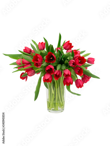 Red tulips in a vase