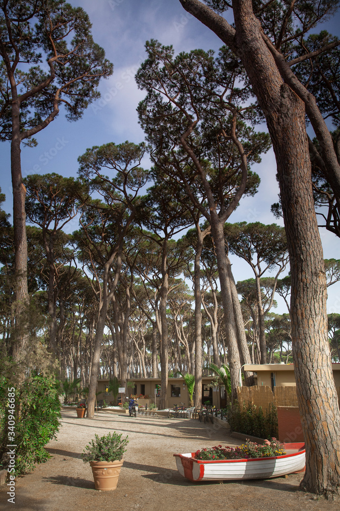 Obraz premium camping, campeggio