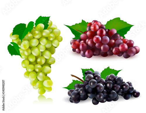 Vector red grapes, black grapes, green grapes set illustration. 3d realistic vector red, black and green bunch of grapes isolated on white background.