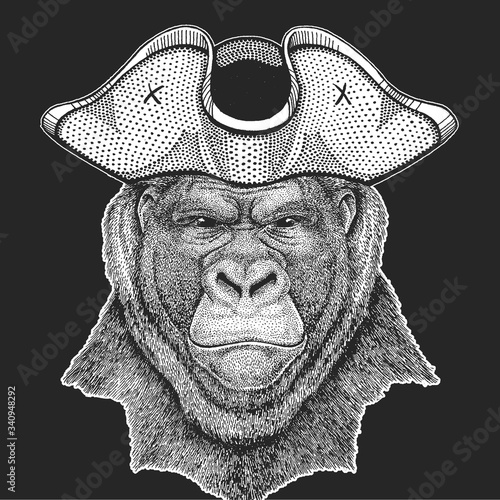 Gorilla, monkey, ape. Pirate cocked hat.