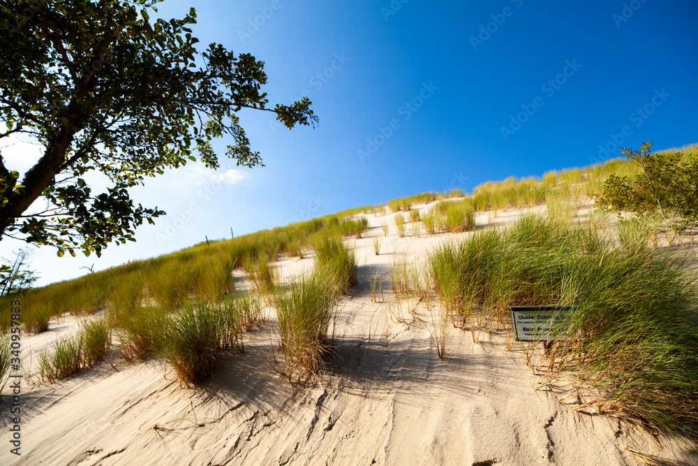 Wydmy słowiński park narodowy łeba piasek lato morze bałtyckie - obrazy, fototapety, plakaty 