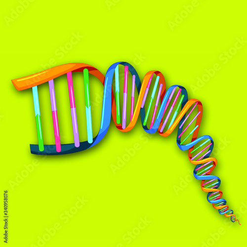 Dna Double Helix Structure