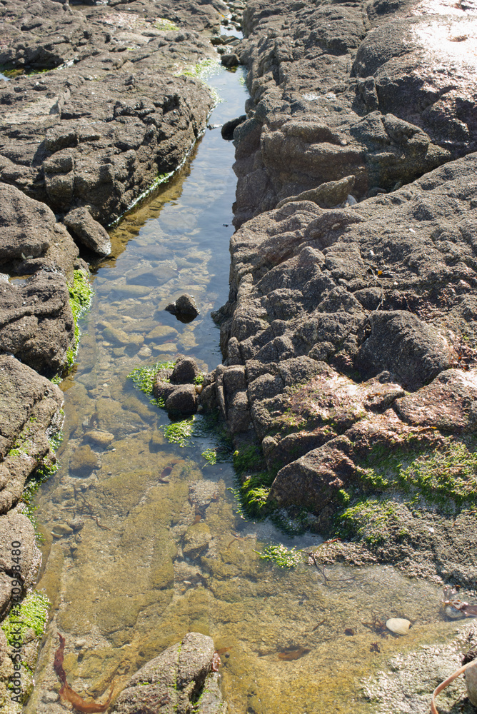 Sur les rochers de la plage de Loctudy en Bretagne dans le Finistère apparaissent des bassines d'eau de mer créées par la mer lorsqu'elle est montée et qu'ensuite elle s'est retirée