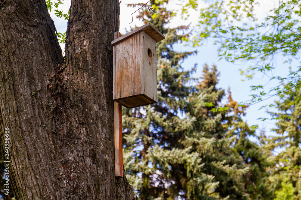 Wooden handmade birdhouse on a tree in the park