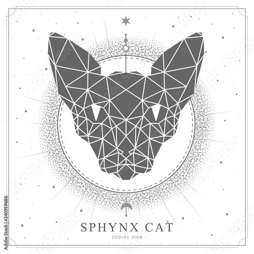 Modern magic witchcraft card with polygonal sphynx cat. Polygonal sphynx cat head