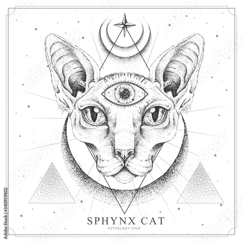 Modern magic witchcraft card with  sphynx cat and all-seeing eye. Realistic hand drawing sphynx cat head