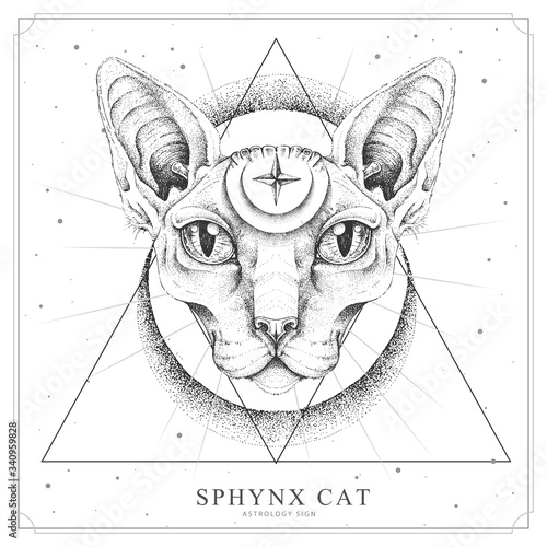 Modern magic witchcraft card with  sphynx cat and all-seeing eye. Realistic hand drawing sphynx cat head