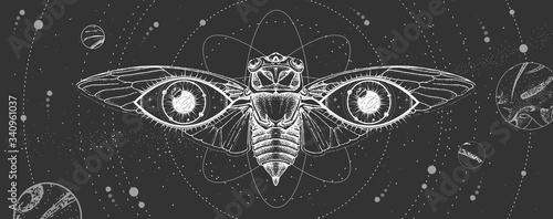 Modern magic witchcraft card with solar system,  cicada and all-seeing eye. Hand drawing occult vector illustration