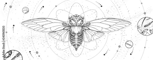 Modern magic witchcraft card with solar system and cicada. Hand drawing occult vector illustration