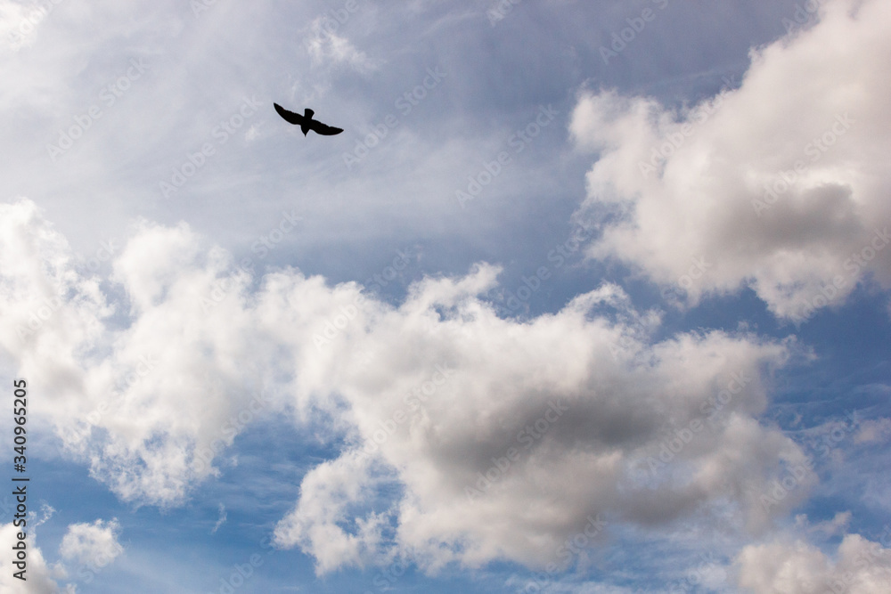 cumulus and high-cumulus clouds of an average tier on blue heavenly space