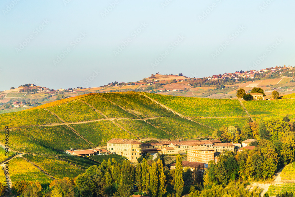 Naklejka premium 14 October 2019. Vinery of Fontanafredda among the vineyards in autumn, Piedmont; Italy