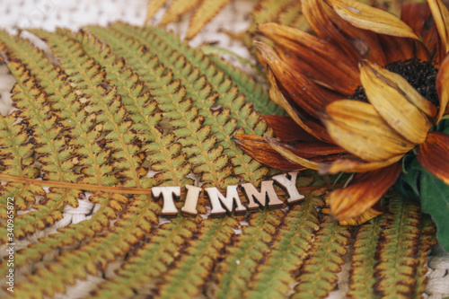 word Timmy on the autumn leaves photo