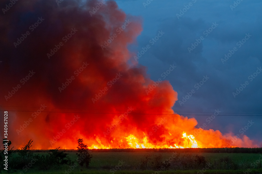 Fire in the cane field in Mamanguape, Paraiba, Brazil on February 15, 2010, on the banks of the BR-101 highway