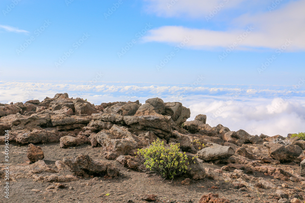Obraz premium Sea of clouds, Haleakala National Park, Maui, Hawaii