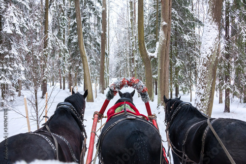 Photography Russian Troika, three horses harnessed to a sleigh, download through the winter
