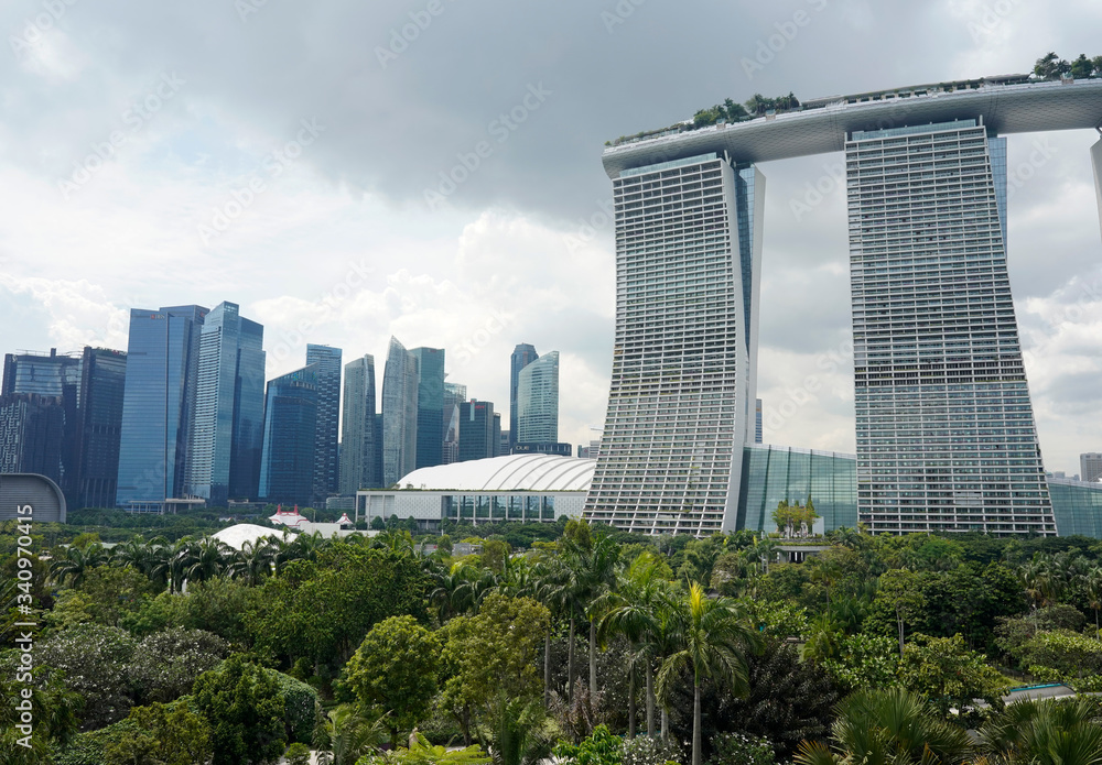 Panorama of the city of Singapore, trees and skyscrapers 