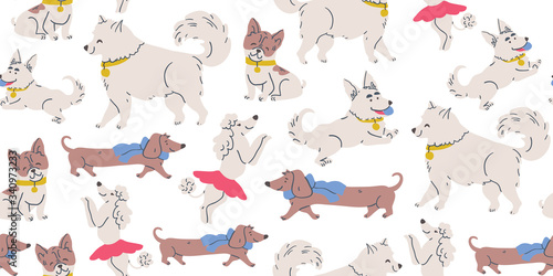 Fototapeta Naklejka Na Ścianę i Meble -  Seamless dog pattern - cute dog breeds, puppy