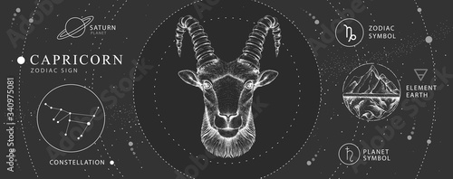 Modern magic witchcraft card with astrology Capricorn zodiac sign. Realistic hand drawing ram or mouflon head. Zodiac characteristic photo