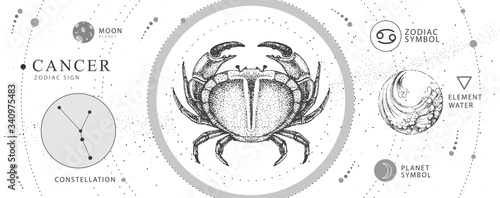 Modern magic witchcraft card with astrology Cancer zodiac sign. Realistic hand drawing crab illustration. Zodiac characteristic