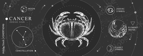 Modern magic witchcraft card with astrology Cancer zodiac sign. Realistic hand drawing crab illustration. Zodiac characteristic