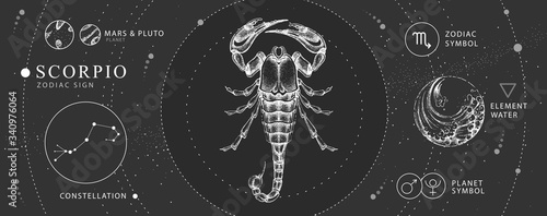 Modern magic witchcraft card with astrology Scorpio zodiac sign. Realistic hand drawing scorpion illustration. Zodiac characteristic