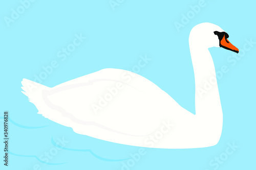 swan on the water vector illustration 