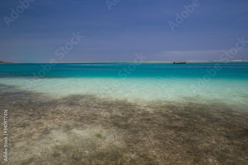 Zanzibar, landscape sea, coral reef © erainbow