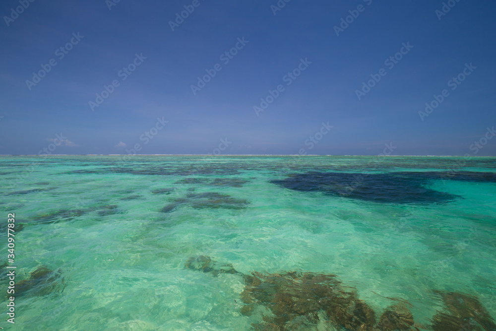 Zanzibar, landscape sea, coral reef