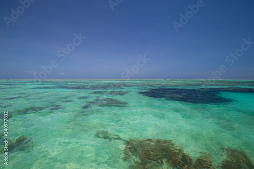 Zanzibar, landscape sea, coral reef