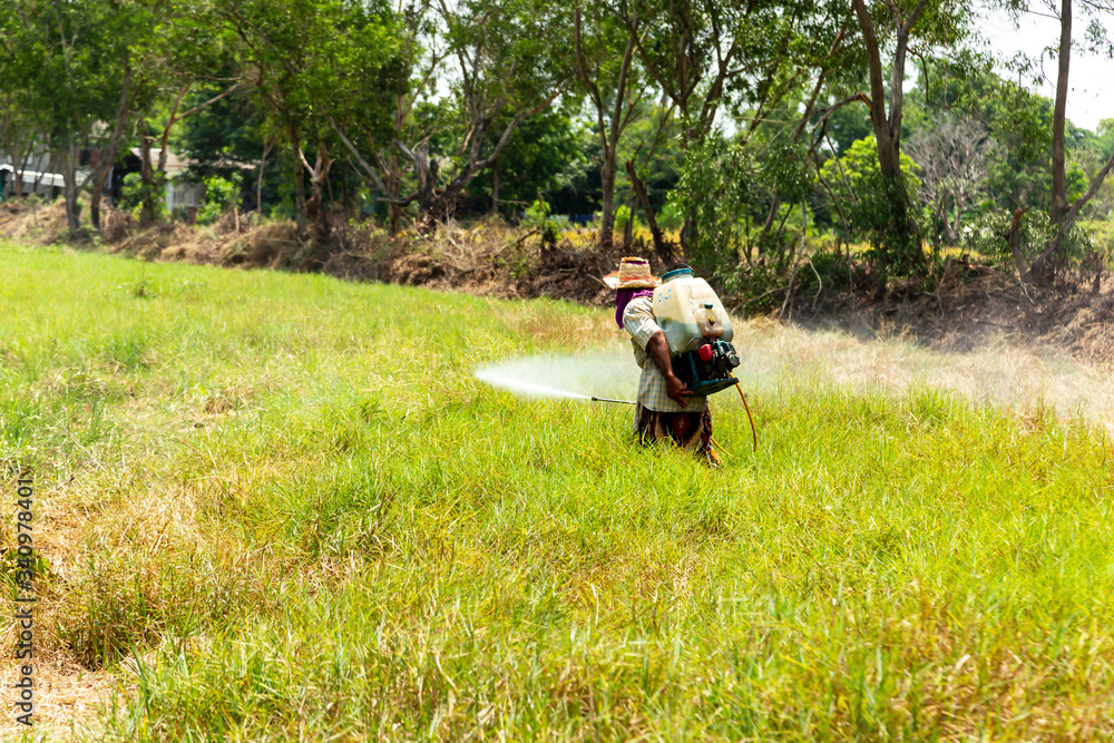 Farmers are using grass sprayer. Farmers are using grass sprayer.