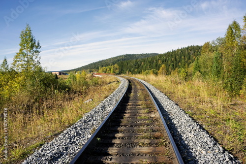 Railway rails go into the distance among the forest on an autumn sunny day.