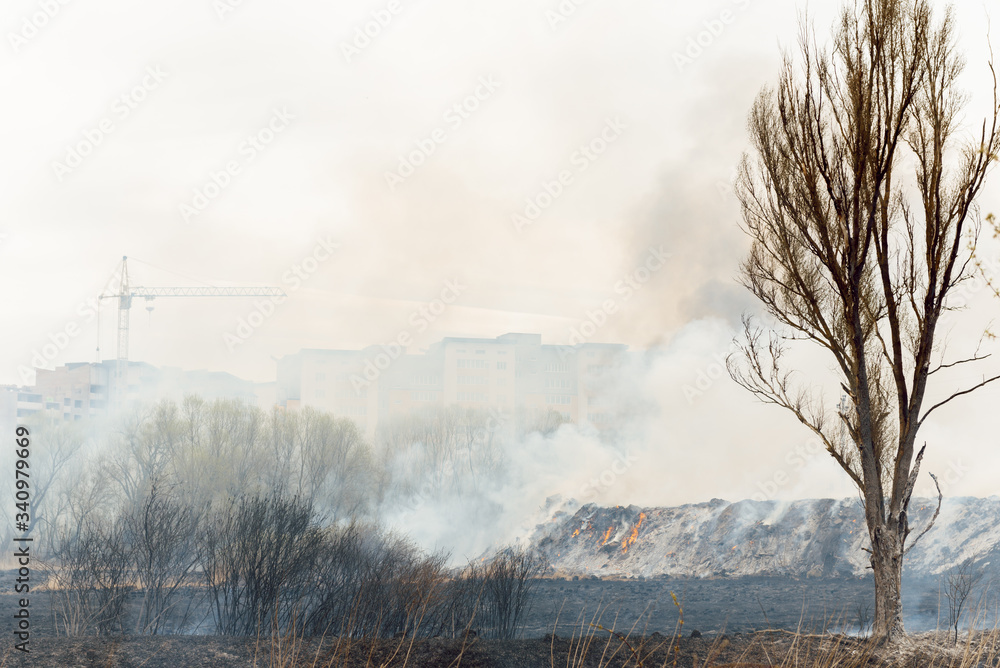 Burning reeds. Nature fire landscape. Devastation of wildlife, human influence on planet. Air pollution, hot and dry climate, environment, Earth saving concept Burning reeds. Nature fire landscape. Devastation of wildlife, human influence on planet. Air pollution, hot and dry climate, environment, Earth saving concept