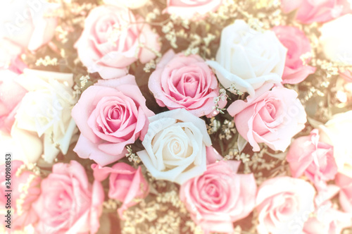 The rose background image is decorated with roses that bloom  the beauty of nature. 