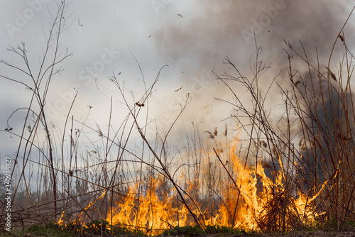 Raging forest spring fires. Burning dry grass  reed along lake. Grass is burning in meadow. Ecological catastrophy. Fire and smoke destroy all life. Firefighters extinguish Big fire. Lot of smoke