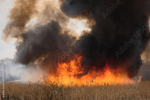 Raging forest spring fires. Burning dry grass, reed along lake. Grass is burning in meadow. Ecological catastrophy. Fire and smoke destroy all life. Firefighters extinguish Big fire. Lot of smoke © Serhii