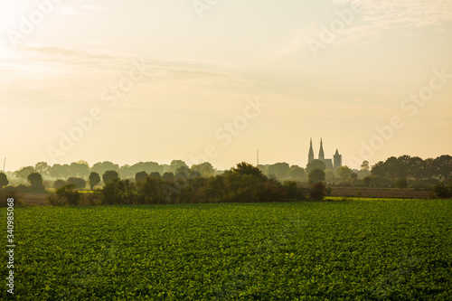 Land van Cuijk, agricultural landscape at the small village Cuijk and the Meuse river, the Netherlands