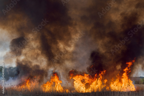 Firefighters battle a wildfire. Ecological disaster concept. Australia. Brazil. © Serhii