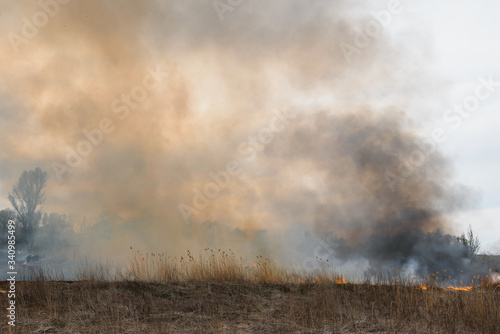 Raging forest spring fires. Burning dry grass, reed along lake. Grass is burning in meadow. Ecological catastrophy. Fire and smoke destroy all life. Firefighters extinguish Big fire. Lot of smoke © Serhii