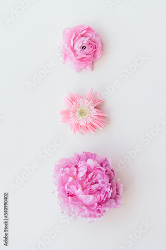 Fototapeta Naklejka Na Ścianę i Meble -  Pink flowers